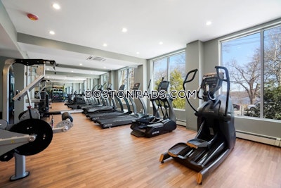 Cambridge 2 Bed 1 Bath CAMBRIDGE  Mt. Auburn/brattle/ Fresh Pond - $3,158 No Fee