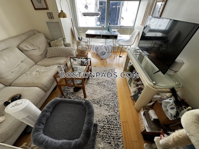 Downtown 1 Bed 1 Bath Boston - $3,000 No Fee