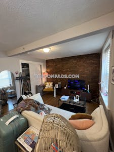 Downtown 1 Bed 1 Bath Boston - $2,500 No Fee