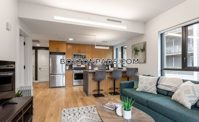 Allston 2 Beds 2 Baths Boston - $4,975