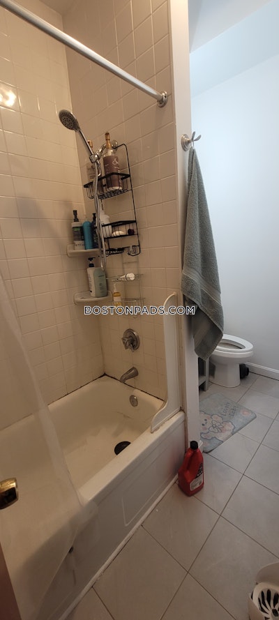 Mission Hill 6 Beds 4 Baths Boston - $9,000 No Fee