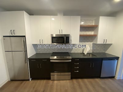 Allston 2 Beds 2 Baths Boston - $5,095 No Fee