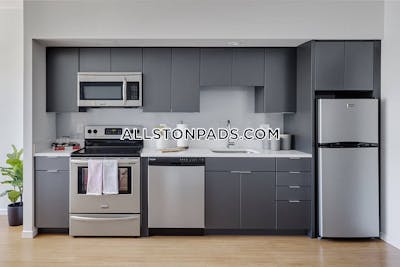 Allston Apartment for rent 1 Bedroom 1 Bath Boston - $4,062