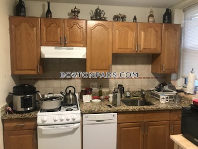Allston/brighton Border Apartment for rent 1 Bedroom 1 Bath Boston - $2,100 No Fee