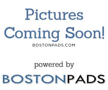 Allston/brighton Border Apartment for rent 4 Bedrooms 1 Bath Boston - $3,650 No Fee