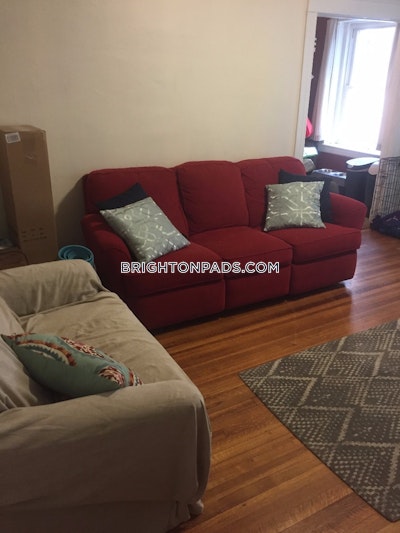 Brighton Apartment for rent 1 Bedroom 1 Bath Boston - $2,300 No Fee