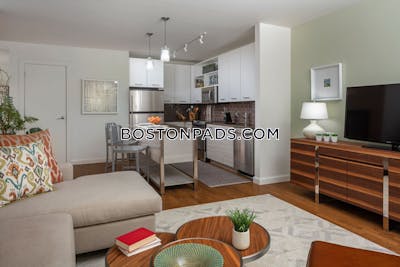 Downtown Apartment for rent Studio 1 Bath Boston - $4,020