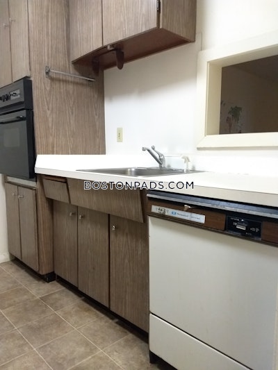 Allston/brighton Border Apartment for rent 1 Bedroom 1 Bath Boston - $2,400 No Fee