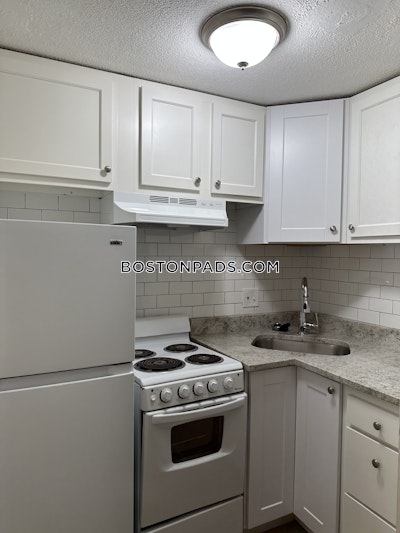 Brighton Apartment for rent Studio 1 Bath Boston - $1,950