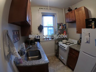 Allston/brighton Border Apartment for rent 1 Bedroom 1 Bath Boston - $2,300 No Fee