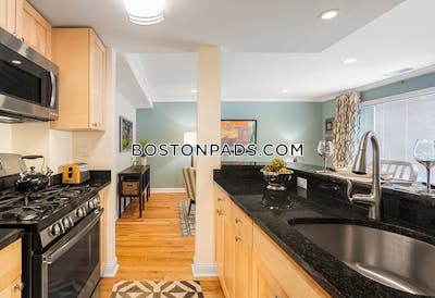 Brookline Apartment for rent 1 Bedroom 1.5 Baths  Chestnut Hill - $3,275 No Fee
