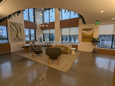 Brighton Apartment for rent 1 Bedroom 1 Bath Boston - $2,950