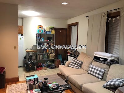 Allston 2 Beds 1 Bath Boston - $2,995 No Fee