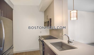 West End Apartment for rent Studio 1 Bath Boston - $3,738