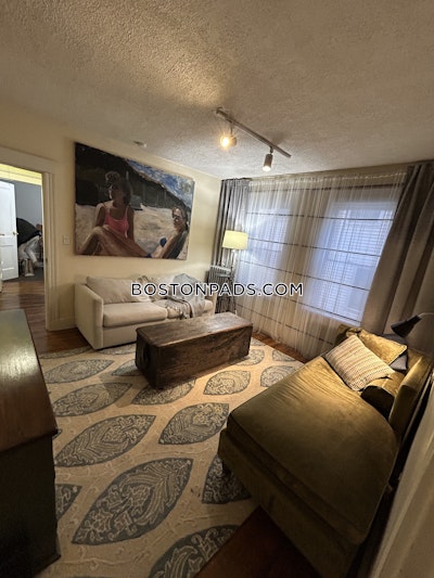 Jamaica Plain Apartment for rent 3 Bedrooms 1 Bath Boston - $3,900