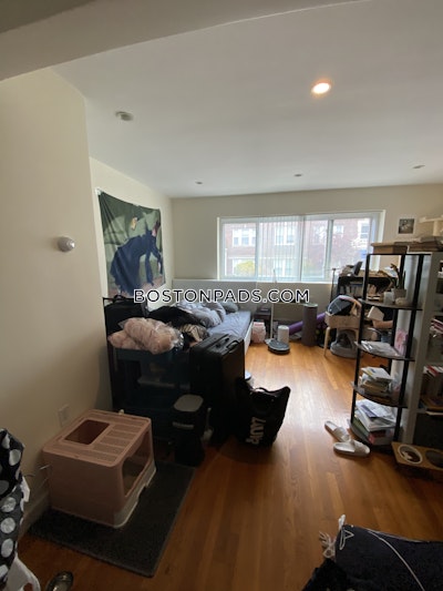 Allston Apartment for rent Studio 1 Bath Boston - $2,300 No Fee