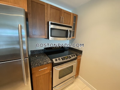West End Apartment for rent 1 Bedroom 1 Bath Boston - $3,295