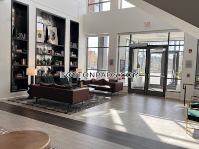 Newton Apartment for rent 1 Bedroom 1 Bath  Newtonville - $14,559