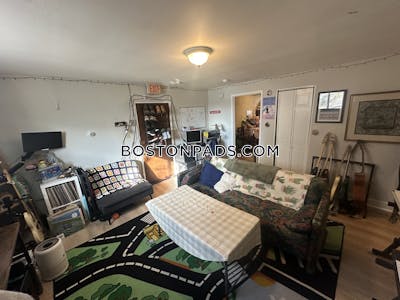 Brighton 2 Beds 1 Bath Boston - $2,900 No Fee