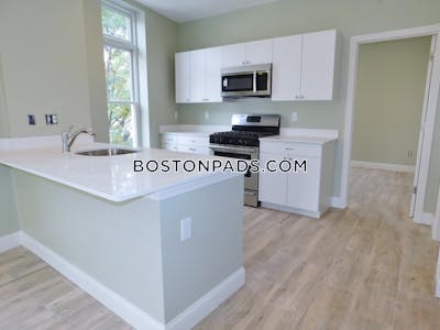 Roxbury Apartment for rent 3 Bedrooms 2 Baths Boston - $3,750 No Fee