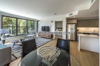 Allston Apartment for rent 2 Bedrooms 2 Baths Boston - $4,350