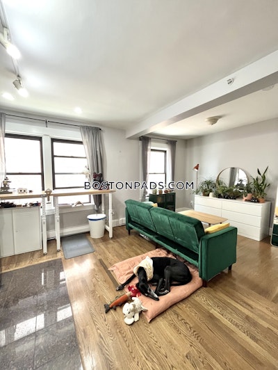 Downtown Apartment for rent 1 Bedroom 1 Bath Boston - $2,695