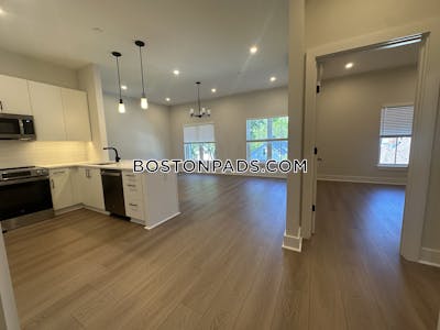 Brighton Apartment for rent 2 Bedrooms 2 Baths Boston - $3,850 No Fee