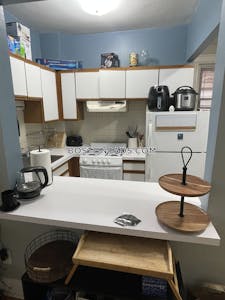 Allston Apartment for rent 1 Bedroom 1 Bath Boston - $2,600 No Fee