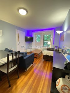 Brookline Apartment for rent 2 Bedrooms 1 Bath  Washington Square - $3,400 No Fee
