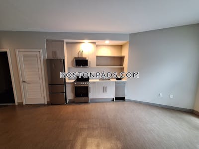Jamaica Plain Studio  baths Luxury in BOSTON Boston - $3,515