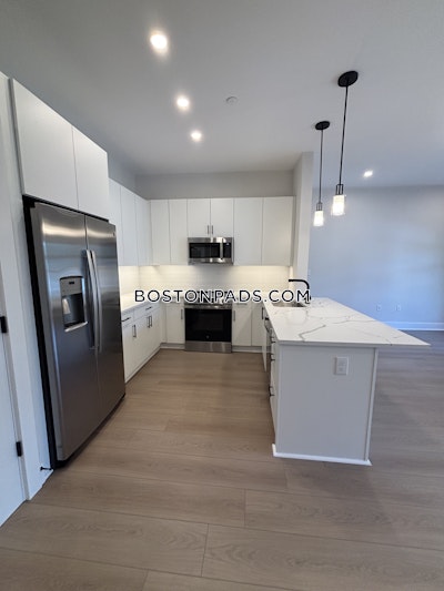 Brighton Apartment for rent 2 Bedrooms 2 Baths Boston - $3,900 No Fee
