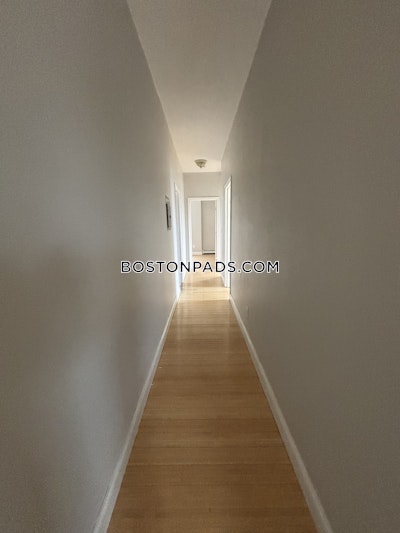 Roxbury Apartment for rent 3 Bedrooms 1 Bath Boston - $3,100 No Fee