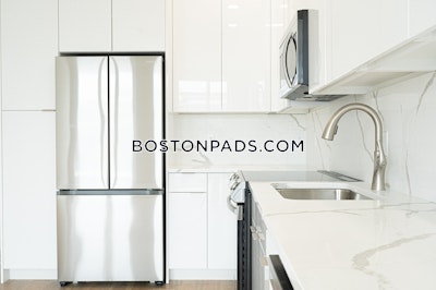 Brighton 1 Bed 1 Bath Boston - $2,995 No Fee