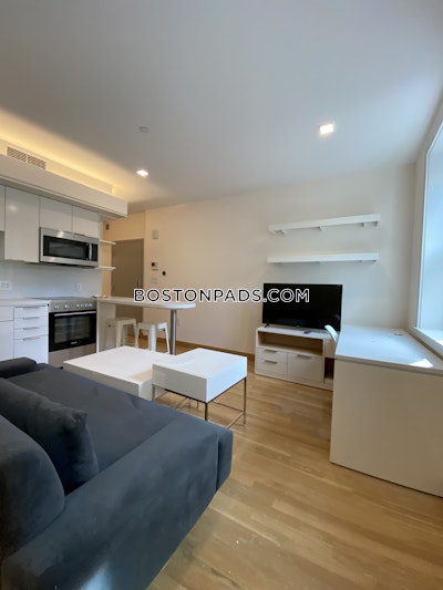 Cambridge Apartment for rent Studio 1 Bath  Harvard Square - $3,775