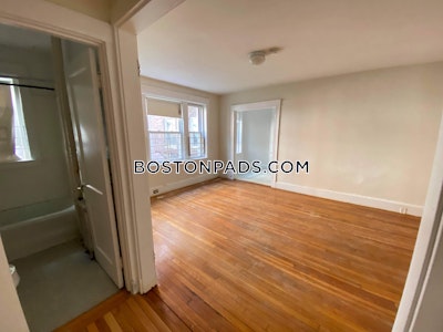 Brighton Apartment for rent Studio 1 Bath Boston - $2,050 No Fee