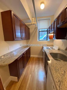 Northeastern/symphony Apartment for rent 1 Bedroom 1 Bath Boston - $2,900 No Fee