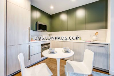 Fenway/kenmore Studio  baths Luxury in BOSTON Boston - $3,541