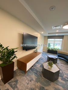 Brookline 3 bedroom 2.5 baths in BROOKLINE  Chestnut Hill - $6,735 No Fee