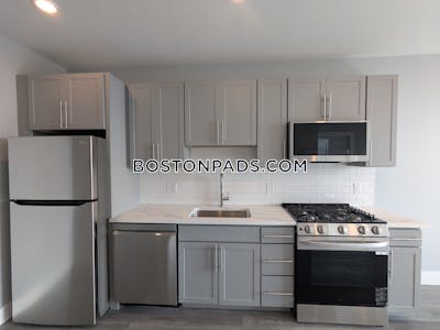 Brighton Apartment for rent 1 Bedroom 1 Bath Boston - $3,650 No Fee