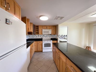 Allston 2 bedroom 2 baths in BOSTON Boston - $3,780
