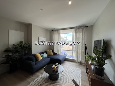 Brighton Apartment for rent 1 Bedroom 1 Bath Boston - $2,959