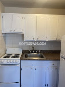 Allston/brighton Border Apartment for rent 1 Bedroom 1 Bath Boston - $2,200 No Fee