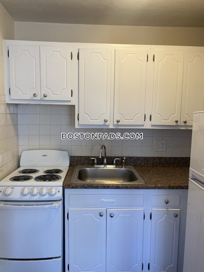 Allston/brighton Border Apartment for rent 1 Bedroom 1 Bath Boston - $2,200 No Fee