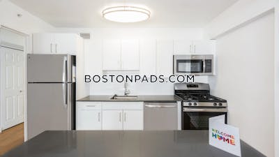West End Apartment for rent Studio 1 Bath Boston - $2,775