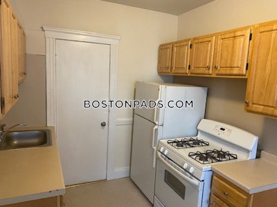 Brighton Apartment for rent 1 Bedroom 1 Bath Boston - $2,400