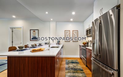 Brookline Apartment for rent 1 Bedroom 1 Bath  Chestnut Hill - $3,200 No Fee