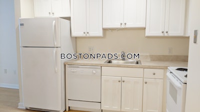 Downtown Apartment for rent 1 Bedroom 1 Bath Boston - $3,000 No Fee