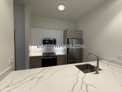 Allston 2 bedroom 2 baths in BOSTON Boston - $3,250 No Fee