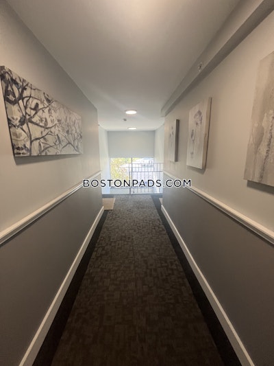 Cambridge Apartment for rent 2 Bedrooms 1 Bath  Mt. Auburn/brattle/ Fresh Pond - $2,700 No Fee