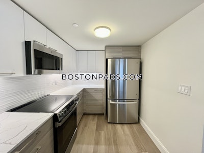 Allston 2 bedroom 2.5 baths in BOSTON Boston - $3,850 No Fee